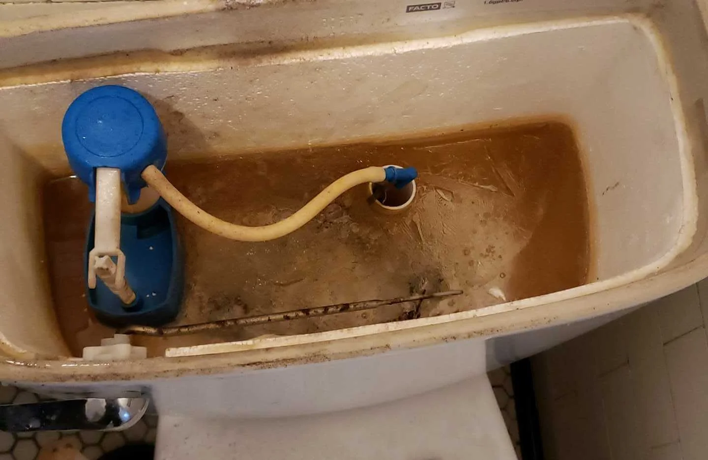 Frozen toilet