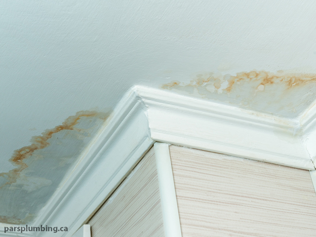 Look for Wet Spots, Water Stains, or Mold Growth