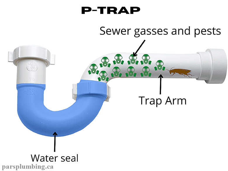 Dry P-Traps